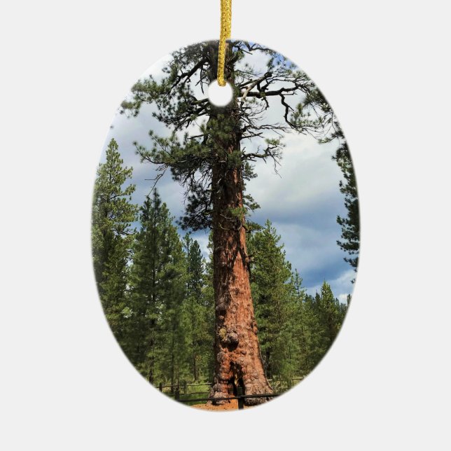 Big Red Tree, La Pine, OR Ceramic Ornament (Front)