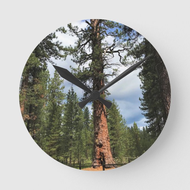Big Red Tree, La Pine, OR Round Clock (Front)