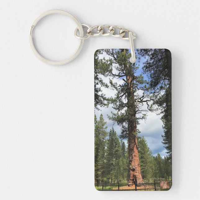 Big Red Tree, La Pine, Oregon Key Ring (Front)