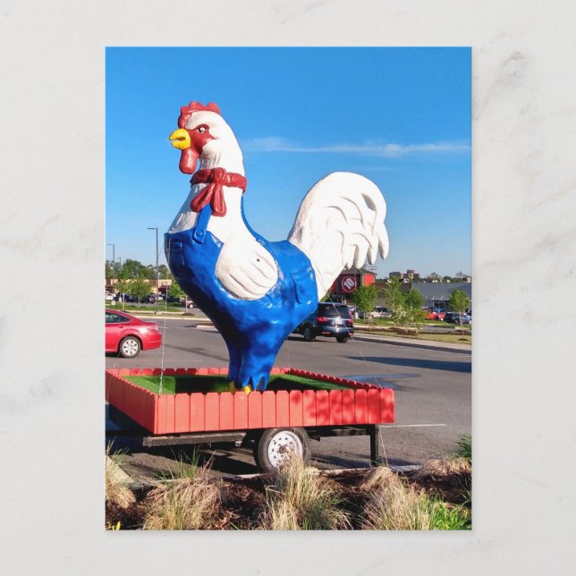 Big Rooster  Postcard (Front)