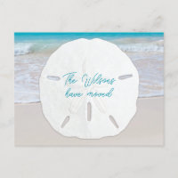 Big Sand Dollar Tropical New Address Postcards