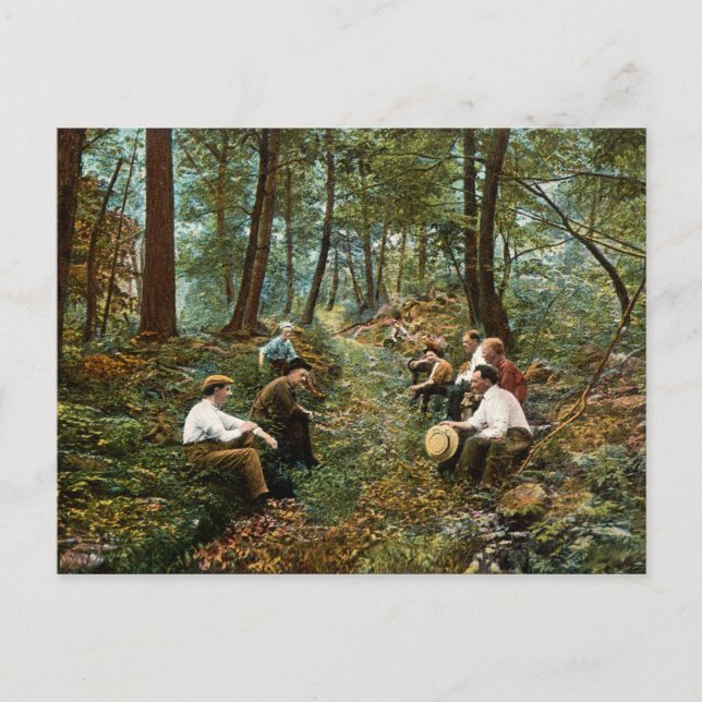 Big Savage Mountain Vintage Postcard (Front)