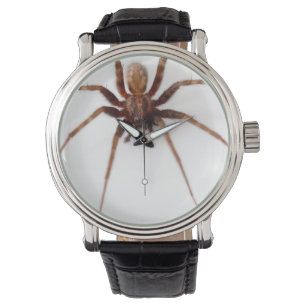 Big Scary Spider Watch