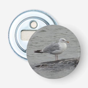 Big seagull bottle opener