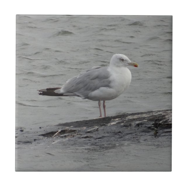 Big seagull ceramic tile (Front)