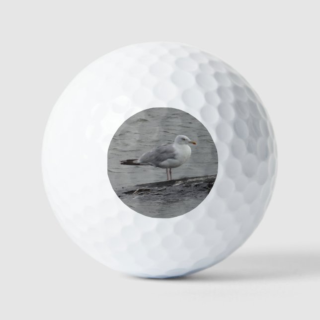 Big seagull golf balls (Front)
