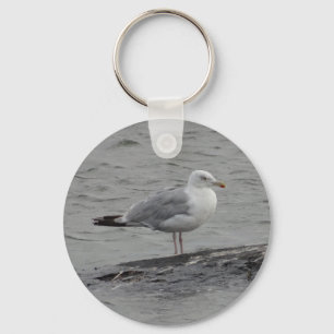 Big seagull key ring