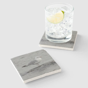 Big seagull stone coaster