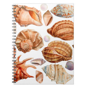 big set of seashells on an isolated white backgrou notebook