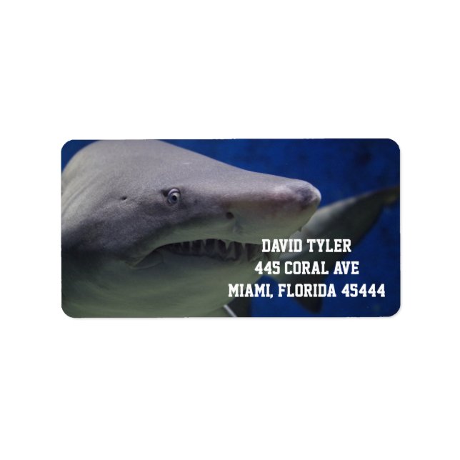 BIG SHARK CUSTOM Return Address Label (Front)
