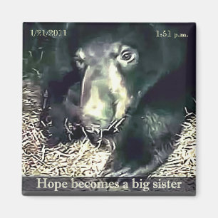 Big Sister Hope Magnet