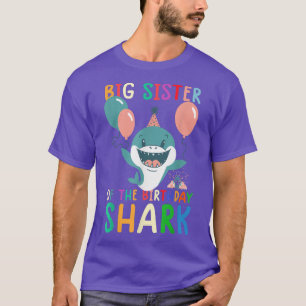 Big Sister Of The Birthday Birthday Family Matchi T-Shirt