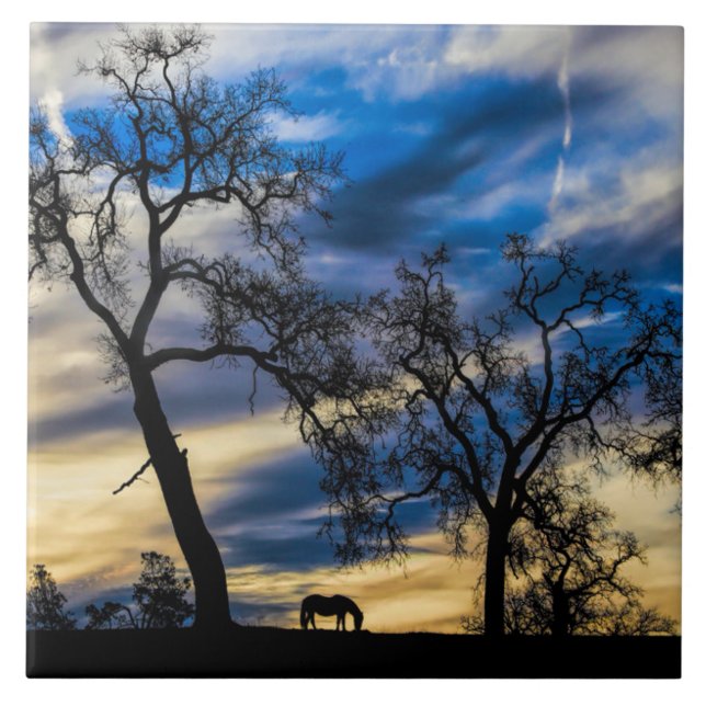 Big Skies Art Tile with Horse and Oak Trees (Front)