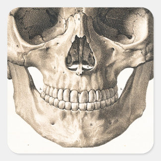 Big Skull, Small Skull Square Sticker