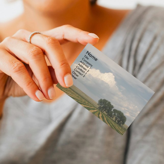 Big Sky Farmland Landscape Business Card (In Situ)