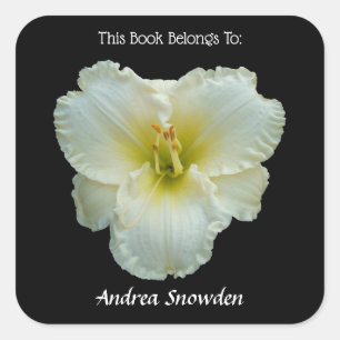 'Big Snowbird' White Daylily on Black Bookplate Square Sticker