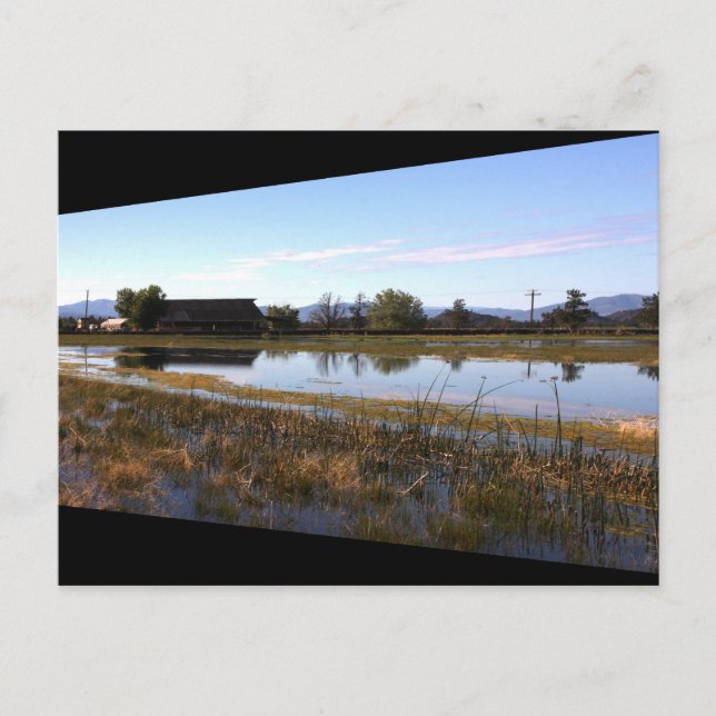 Big Springs Postcard (Front)