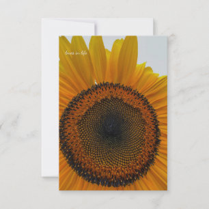 Big Sunflower Card