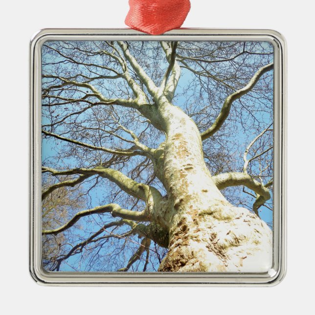 Big Sunny Tree Branches in Heavenly Blue Sky Metal Ornament (Front)