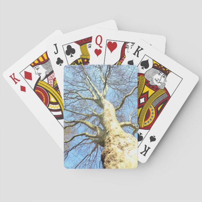 Big Sunny Tree Branches in Heavenly Blue Sky Playing Cards (Back)