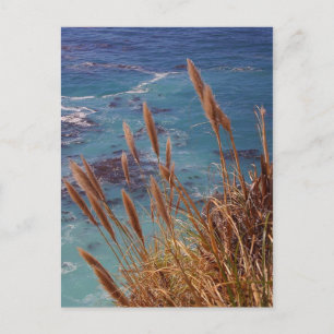 Big Sur California Postcard