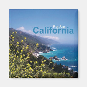 Big Sur California Travel Souvenir Fridge Magnet