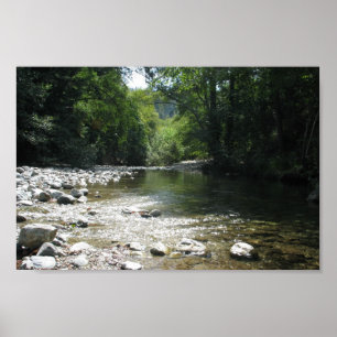 Big Sur Campground - Stream Flowing Through Trees Poster