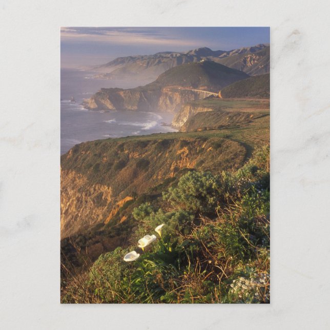 Big Sur Coast California Postcard (Front)