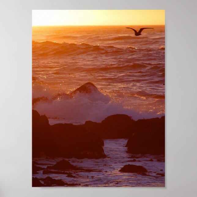 Big Sur Poster (Front)