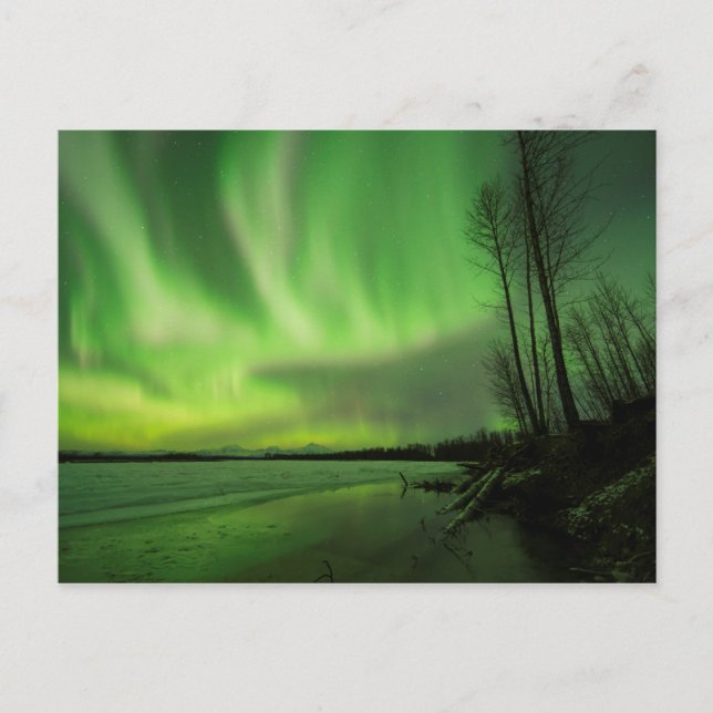 Big Susitna Aurora Postcard (Front)