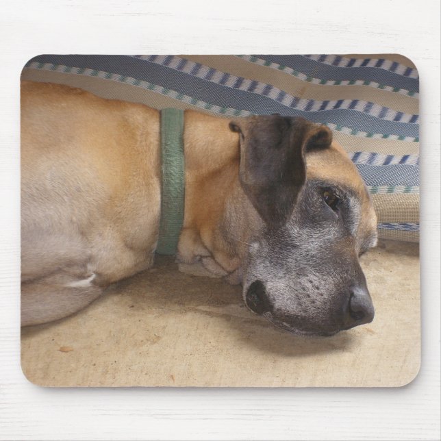 Big Sweet Great Dane Mouse Pad (Front)