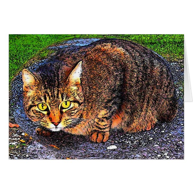 Big Tabby Cat (Front Horizontal)