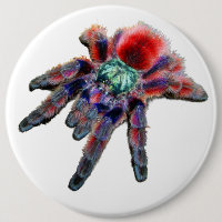 Big teal purple red and blue tarantula spider