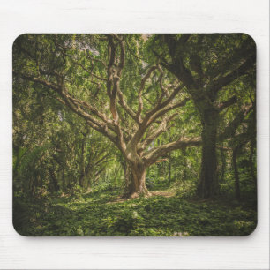 Big Tree Forest Mouse Pad