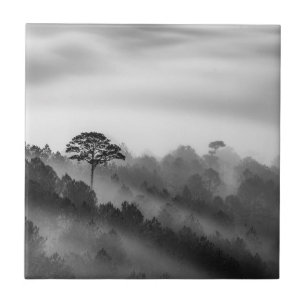 Big Tree in Pine Forest in the Mist Ceramic Tile