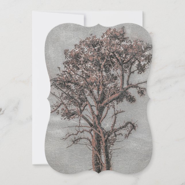 Big Tree Photo Illustration Card (Front)
