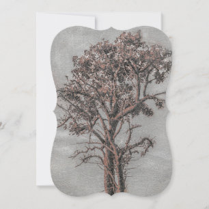 Big Tree Photo Illustration Card