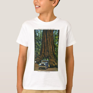 Big Tree Wawona, Mariposa Grove, CA T-Shirt