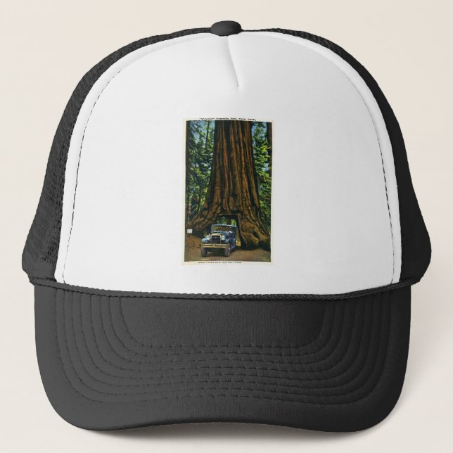 Big Tree Wawona, Mariposa Grove, CA Trucker Hat (Front)