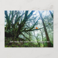 Big Trees Amazing Adventure Teacher Note Postcard