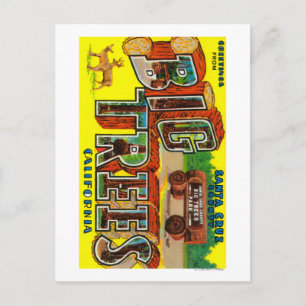 Big Trees, California - Large Letter Scenes Postcard