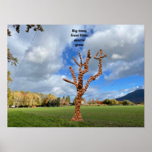 Big trees from little acorns grow. poster