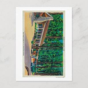 Big Trees Lodge in The Mariposa Grove Postcard