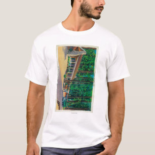 Big Trees Lodge in The Mariposa Grove T-Shirt