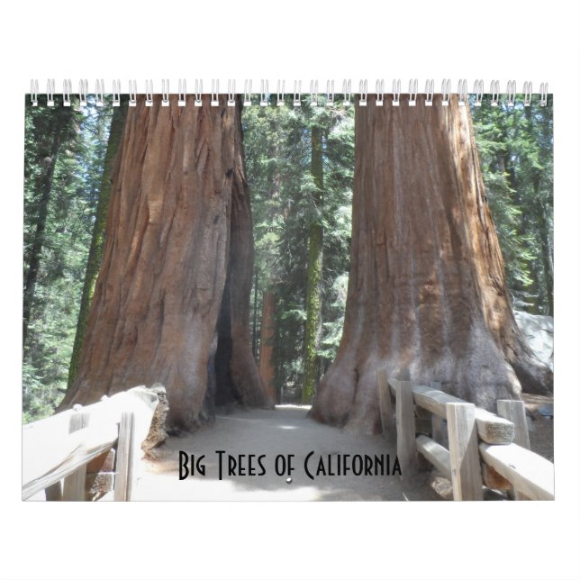 Big Trees of California  Calendar (Cover)