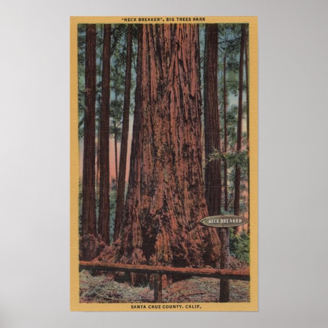 Big Trees State Park, CA - Neck Breaker Tree Poster (Front)