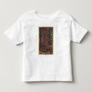 Big Trees State Park, CA - Neck Breaker Tree Toddler T-Shirt
