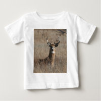 Big Trophy Buck Deer in Tall Grass Camo