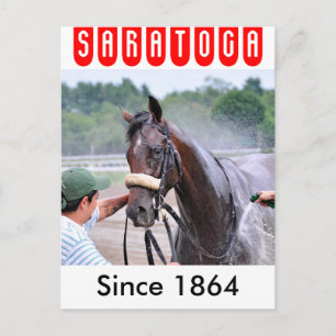 Big Trouble wins the 100th. Sanford Postcard