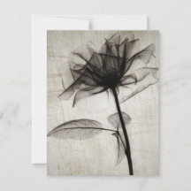 Big Vintage X-Ray Flower